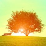 年末年始の休業のお知らせ